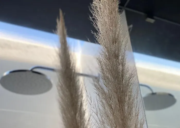 Tijosa Eco-house Camp Летний дом *